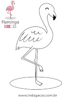 Flamingo flamingo