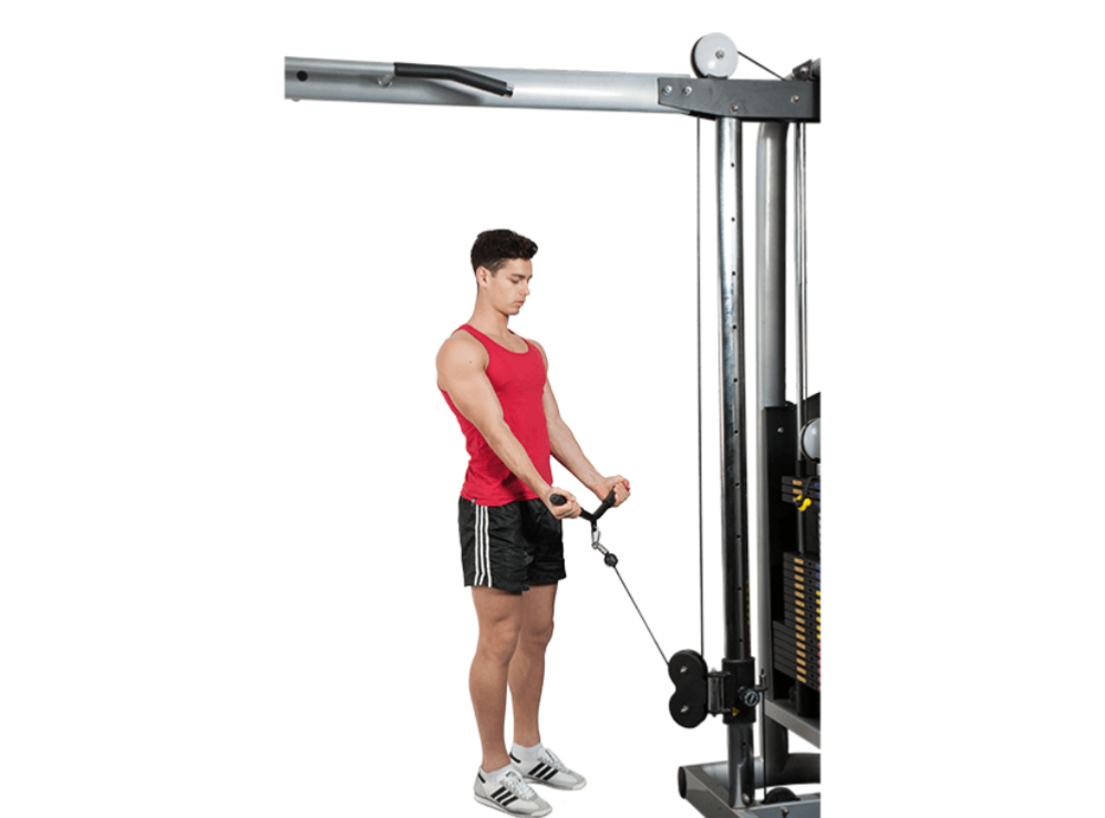 BLENDING SCIENCE WITH LIFTING Cable biceps curl