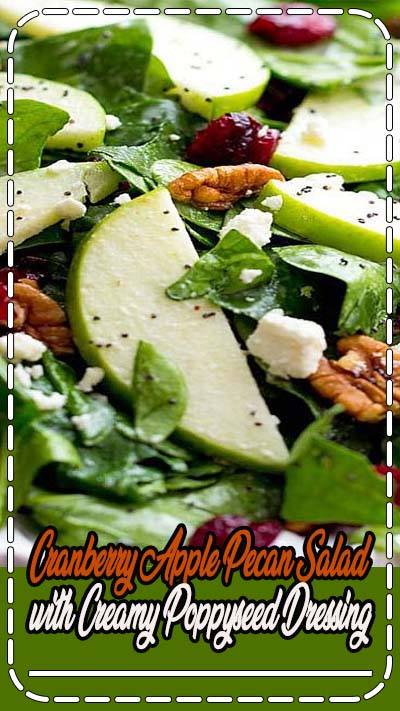 An amazing fall salad with the best creamy poppyseed dressing that you will ever have! An amazing fall salad with the best creamy poppyseed dressing that you will ever have!