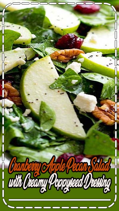 An amazing fall salad with the best creamy poppyseed dressing that you will ever have!