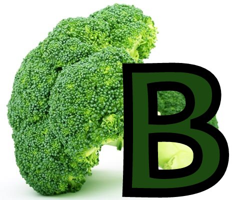 Cocina A La Carta Diccionario Culinario Letra B