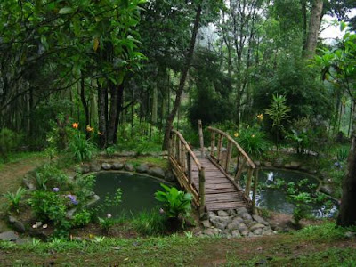 Jawaharlal Nehru Botanical Garden Gangtok