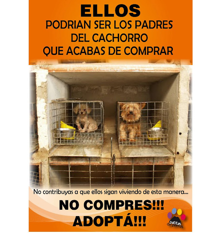 BOIKOT A LA VENTA DE ANIMALES