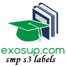 exosup.com smp s3