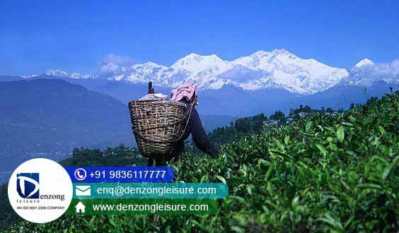  Darjeeling Package Tour in Summer