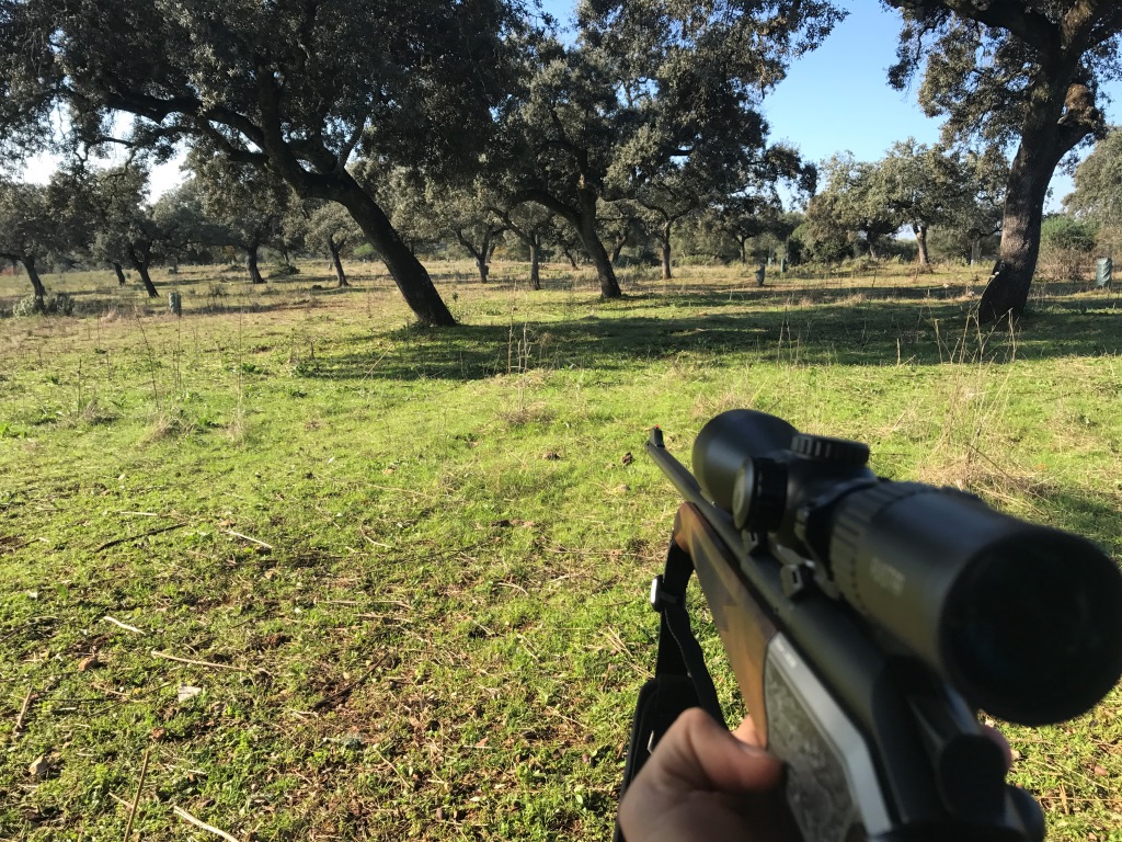 Cazando en Córdoba