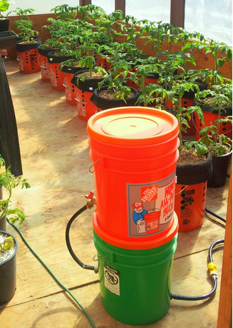 Chennai Hydroponics: Sub-irrigated planter (SIP)