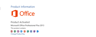 Microsoft Office Professional Plus 2013