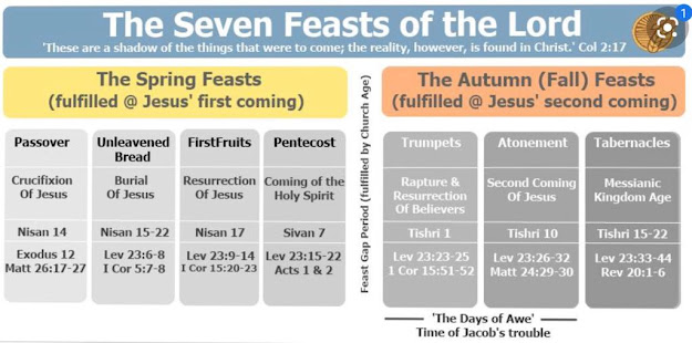 Learn hebrew together questions and answers about the jewish feasts
