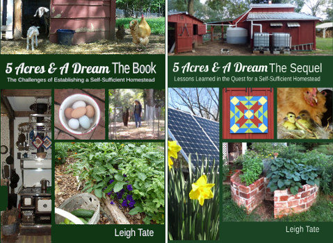 5 Acres & A Dream: Holiday Gift Giving? Think Books!