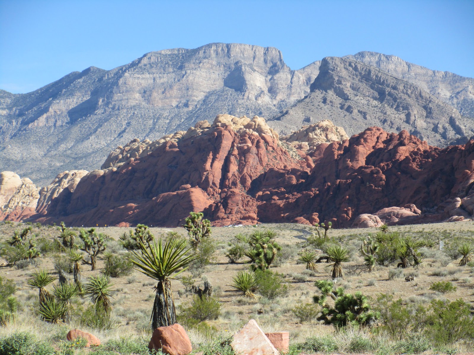 Wanda's World Red Rock Canyon National Conservation Area, Nevada
