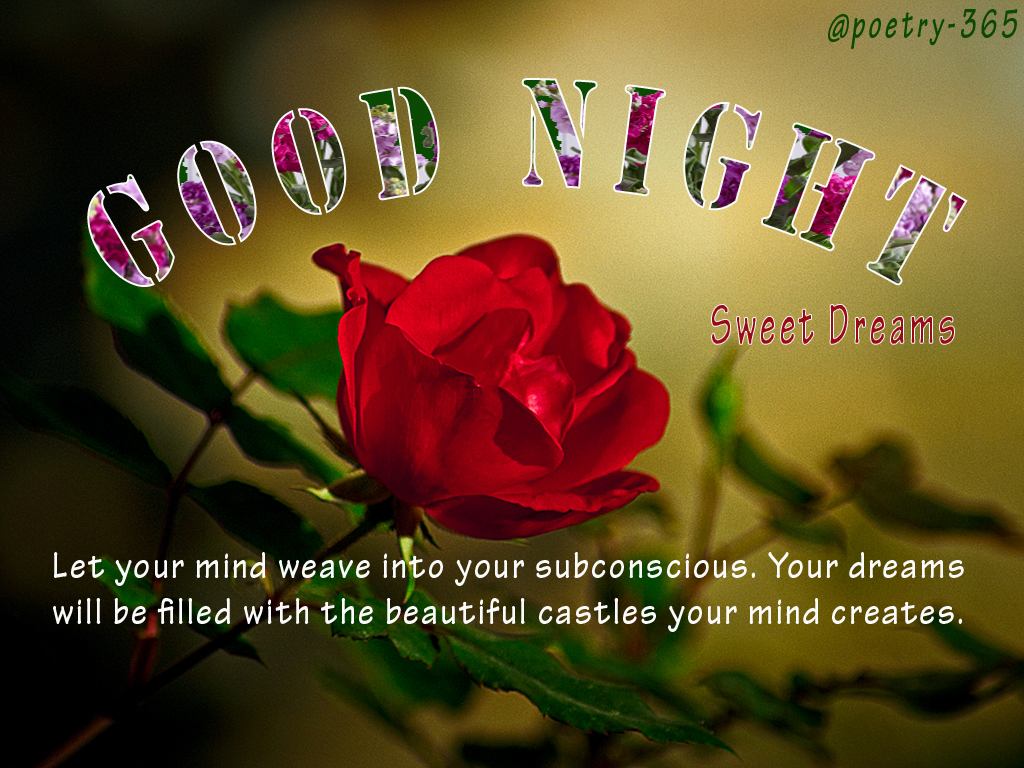 Wishes and Poetry: Cute Good Night Quotes with Frish Flowers for Friends