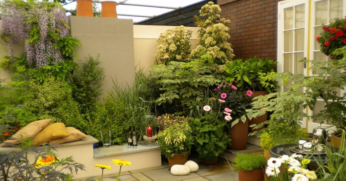 17+ Tanaman Hias Indoor Minimalis