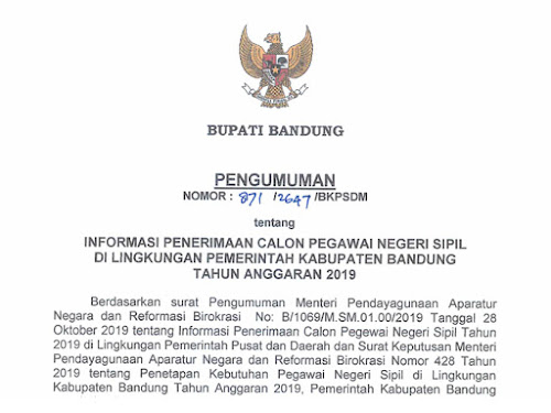 CPNS Kabupaten Bandung 2019