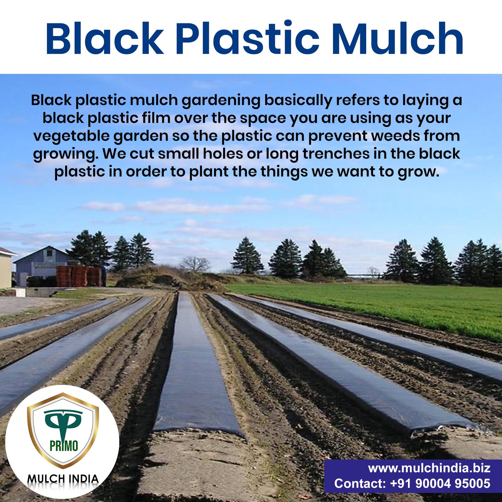 MulchIndia Black Plastic Mulch 𝐌𝐮𝐥𝐜𝐡 𝐈𝐧𝐝𝐢𝐚 Call+𝟵𝟭 𝟵𝟬𝟬𝟬𝟰𝟵𝟱𝟬𝟬𝟱 𝒘𝒘𝒘