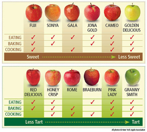 Kinds Of Apples Chart