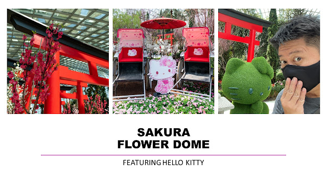 Sakura : Featuring Hello Kitty @ Flower Dome Review