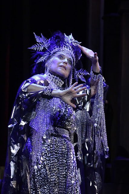 Review: SUNSET BOULEVARD Makes Regional Premiere at Vista  Image