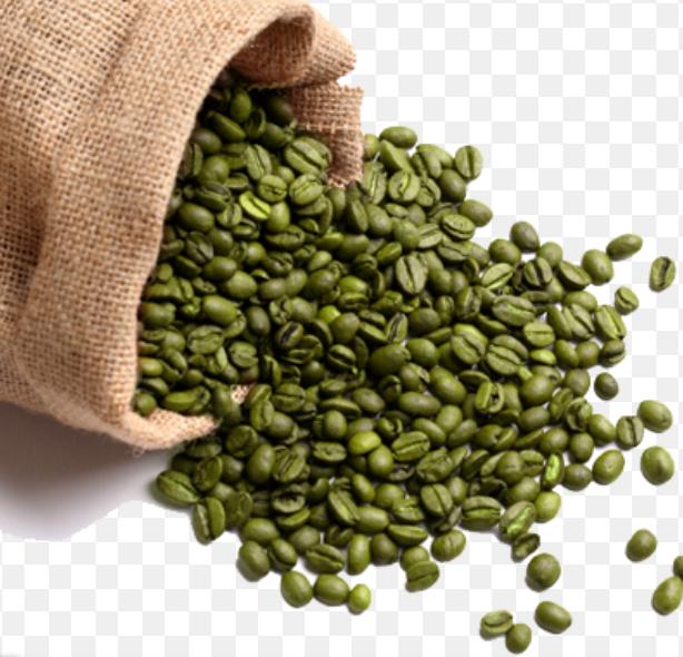 القهوة الخضراء القهوة الخضراء