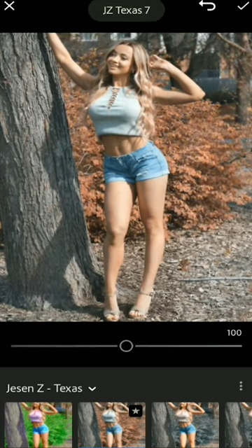 Preview Profile #1 Download 176 Profile Lightroom CC Mobile Gratis