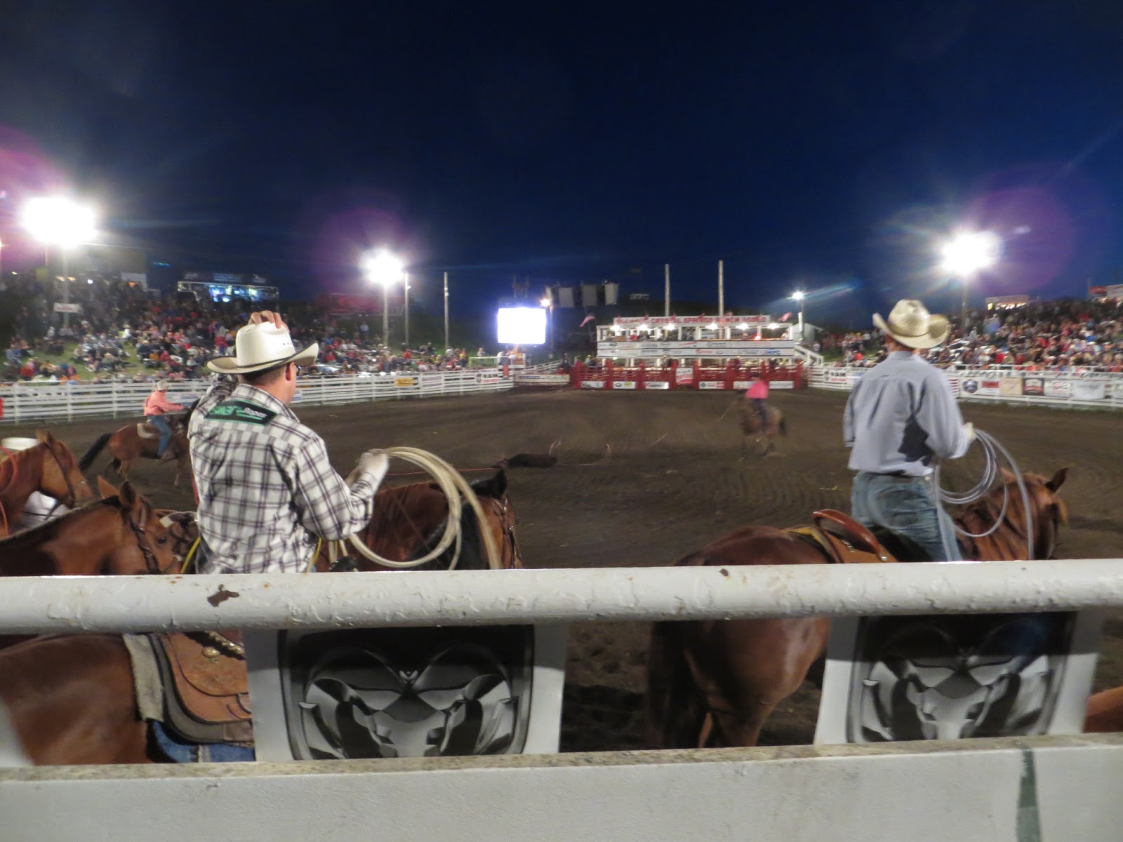 Better than I deserve!: Crystal Springs Rodeo............