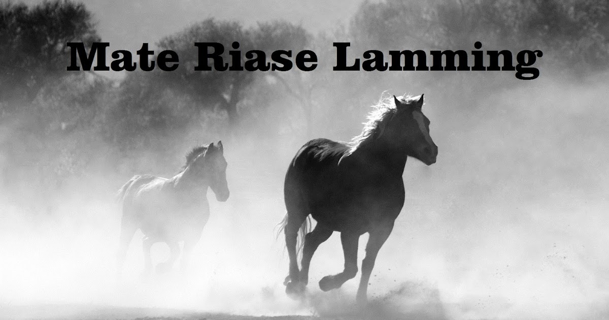 Lirik Lagu Bugis Mate Riase Lamming Maluccana