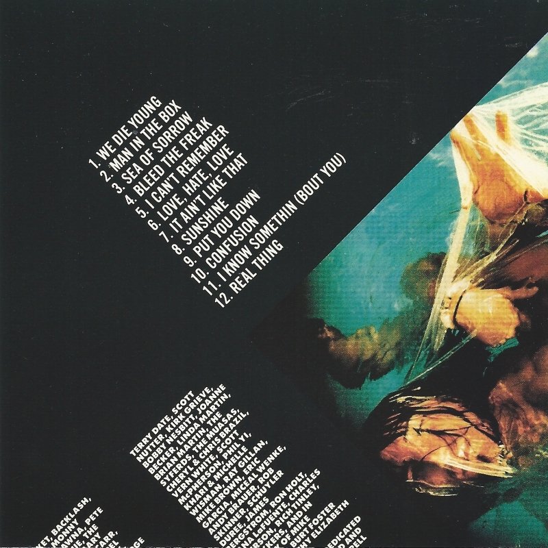 Classic Rock Covers Database Alice in Chains Facelift (1990)