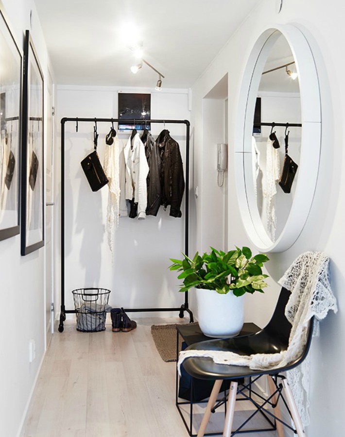 6 plantas ideales para espacios con poca luz