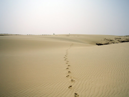 « Cheminant, il n’y a pas de chemin »