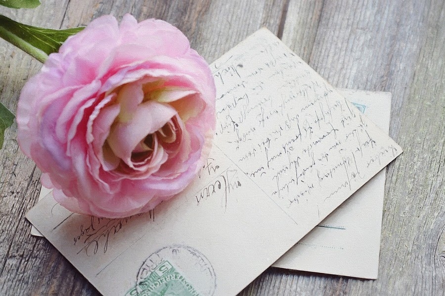 Flor rosa com carta Flor rosa com carta