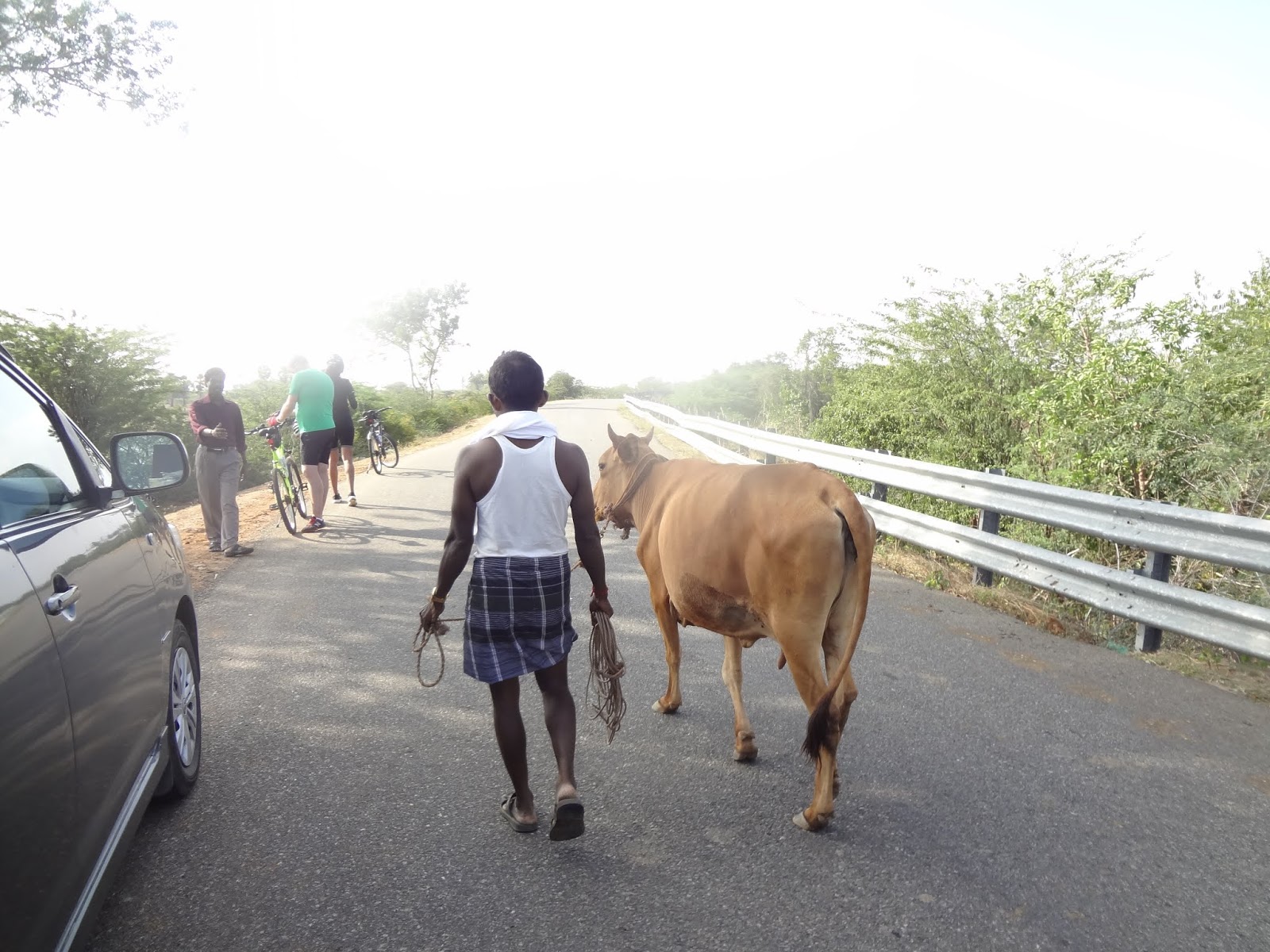 Steve Cycles The World Start Here!