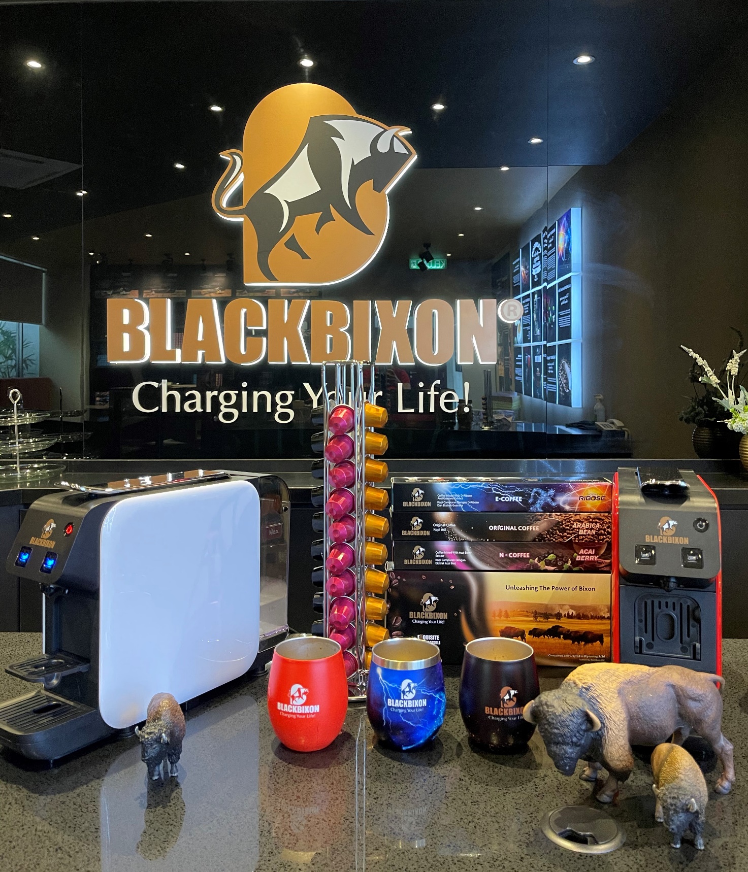 blackbixon™: first energy and nutritional coffee capsules with health benefits for consumers