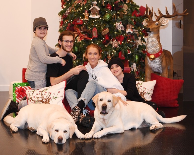 50이 넘은 나이에도 여전히 라이브 탄탄한 자기관리 갑인 디바 | 인스티즈