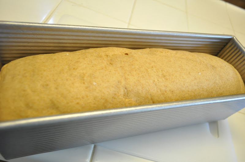 The Food Groupie Club 100 Honey Whole Wheat Pullman bread