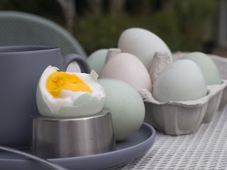 Cara Praktis Membuat Telur Asin Menggunakan Bumbu Dapur Sederhana dan Mudah di Dapatkan