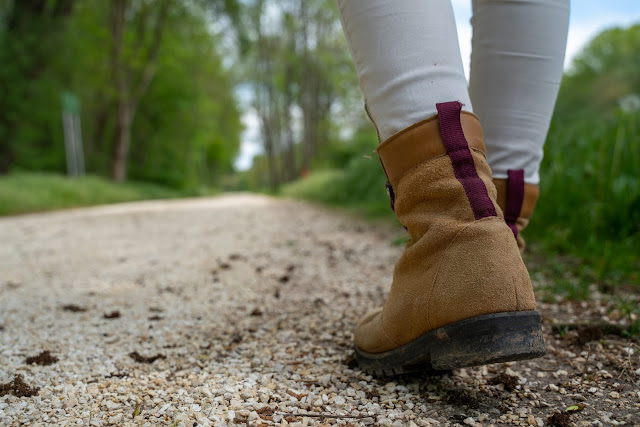 Premiumwanderweg DonAUwald  Etappe 4 von Dillingen nach Höchstädt 05