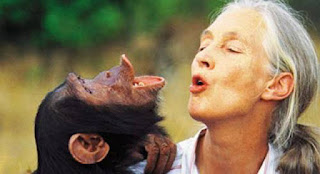 Jane Goodall is a spiritual master