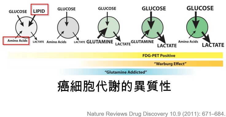 癌細胞其實具有不同的代謝方式-照護線上