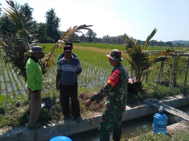 Susanto Kadus IV Desa Jimbung Dukung Penuh TMMD Reg 105 Kodim Klaten   