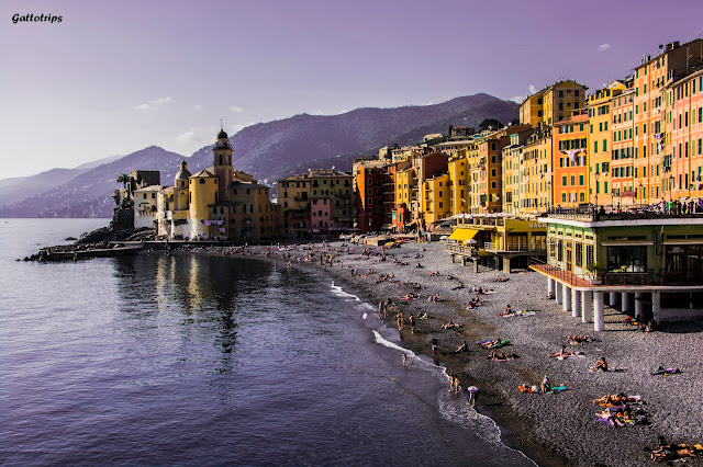 La Toscana - Rinascita - Blogs de Italia - Portofino y la costa de Liguria bien merecen una parada (5)