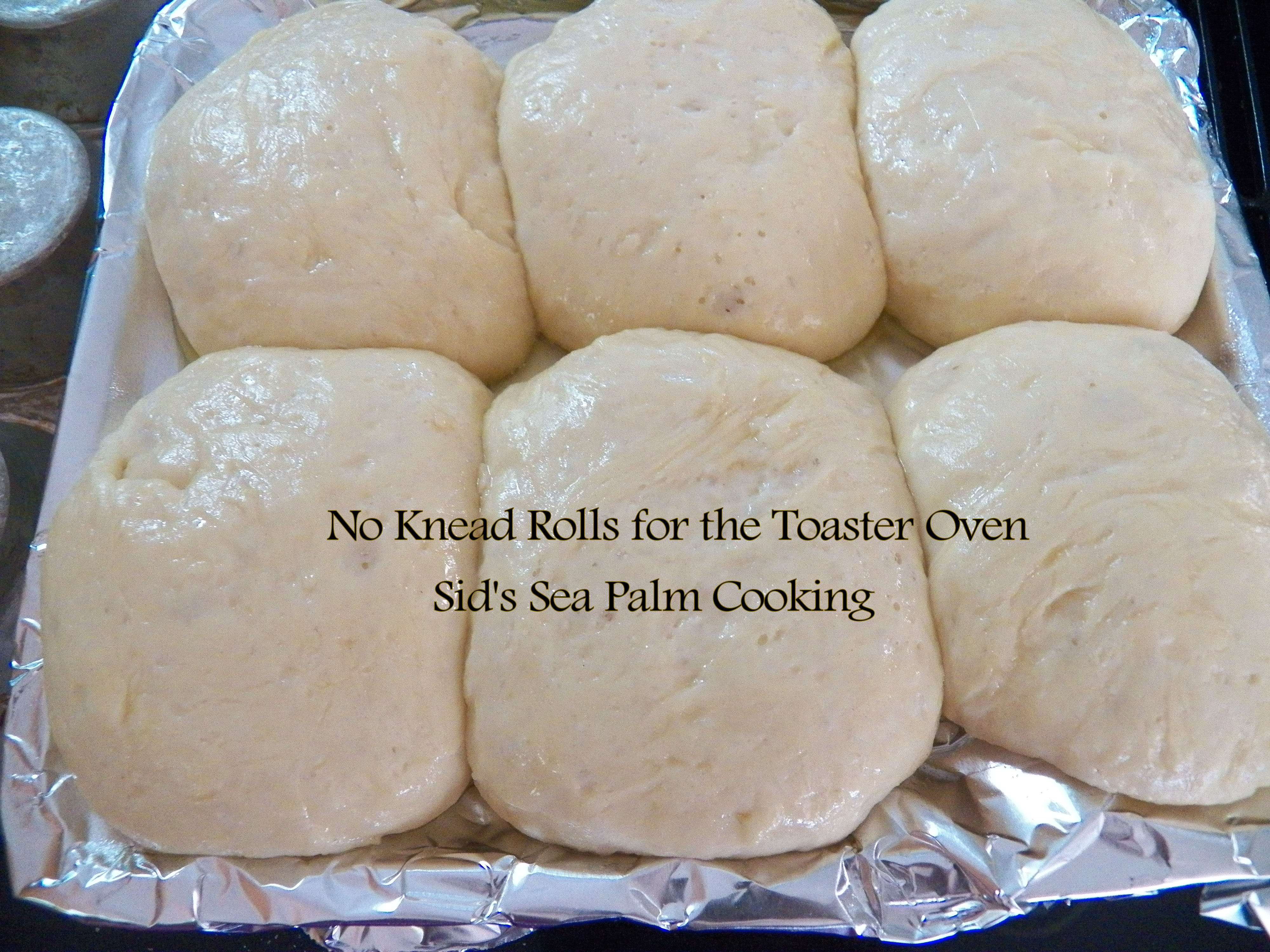 Toaster Oven No Knead Rolls Sid's Sea Palm Cooking