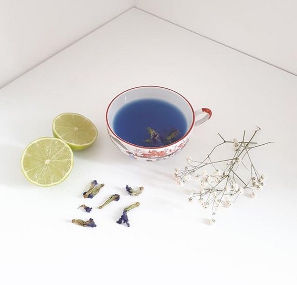 Eden Garden Catananches Un Filtre D Amour