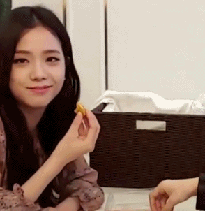 신년맞이 블랙핑크 지수 레전드 움짤 모음(※데이터조심)