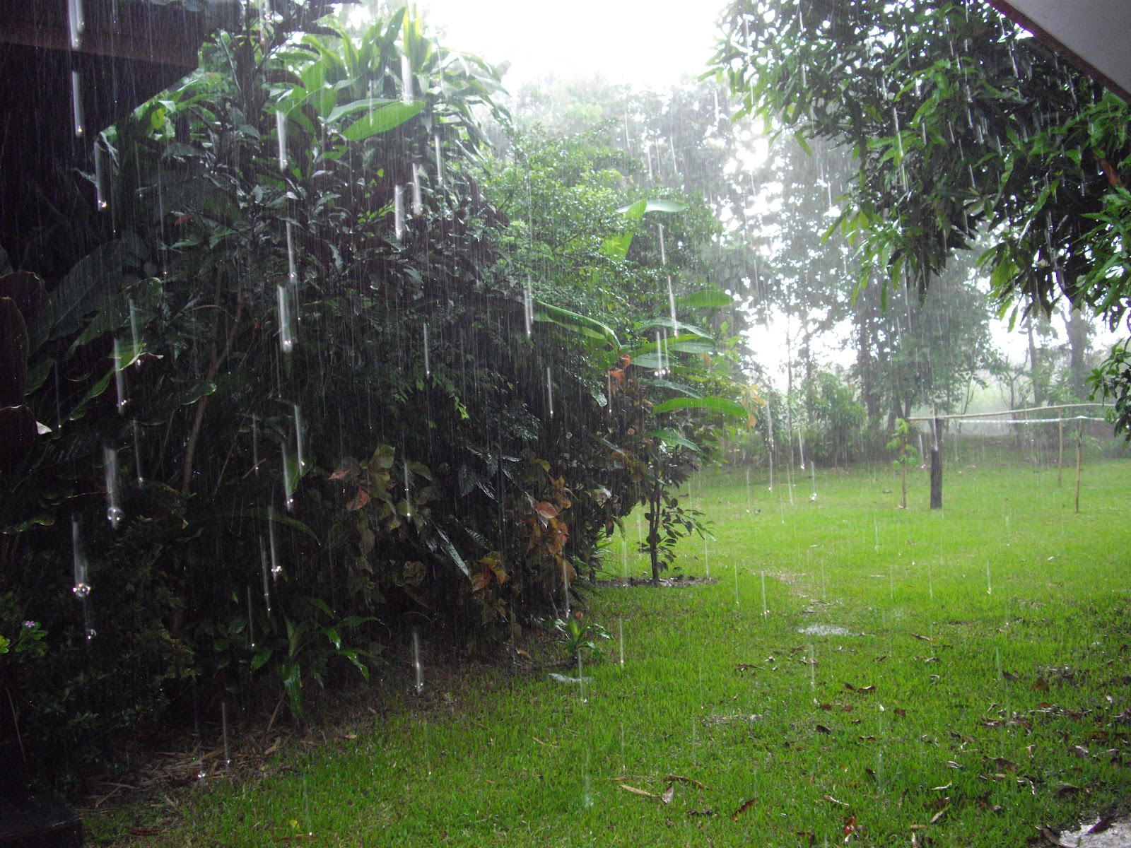 jane-s-journal-the-rainy-season-in-thailand