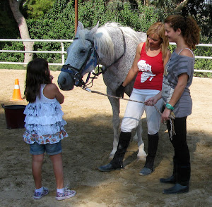 Ganzheitliche Förderung durch das Pferd & Pferdegestützte Psychotherapie