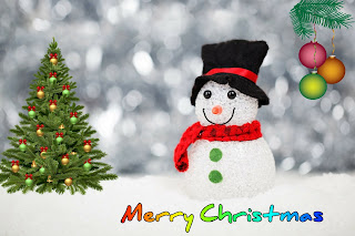 Beautiful Merry Christmas Wishes Images in Hindi and English