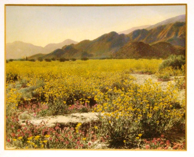 LA IMAGEN DEL SIGLO.: AVERY EDWIN FIELD