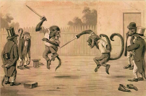 Monos+peleando.png