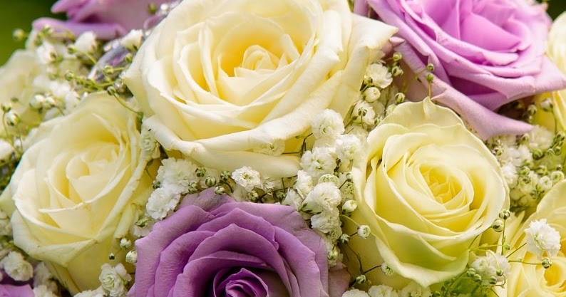 Beautiful and Unique Rose Day Images for lover,husband &amp; boyfriend