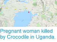 https://sciencythoughts.blogspot.com/2019/01/pregnant-woman-killed-by-crocodile-in.html